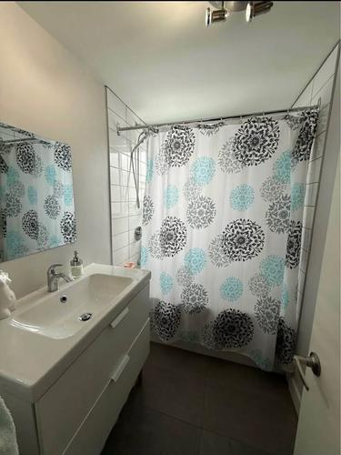 Appartement de 2 chambres à louer à Québec - La Cité-Limoilou — photo 4
