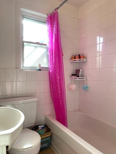1 bedroom apartment for rent in Montreal - Le Plateau-Mont-Royal — photo 3