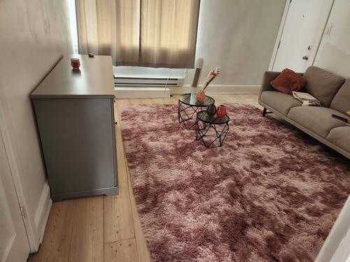 Appartement de 1 chambre à louer à Gatineau — photo 5