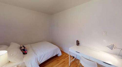 3 bedrooms apartment for rent in Montreal - Le Plateau-Mont-Royal — photo 4