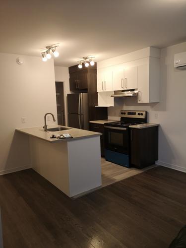 1 bedroom apartment for rent in Gatineau — photo 3