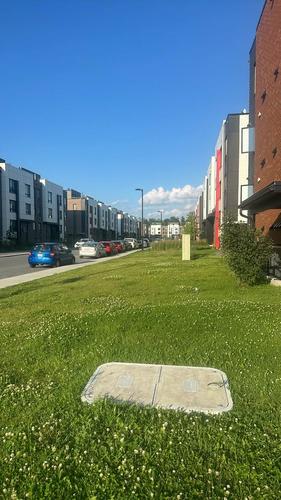 Appartement de 1 chambre à louer à Gatineau — photo 2