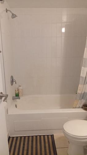 Studio for rent in Montreal - Le Plateau-Mont-Royal — photo 8