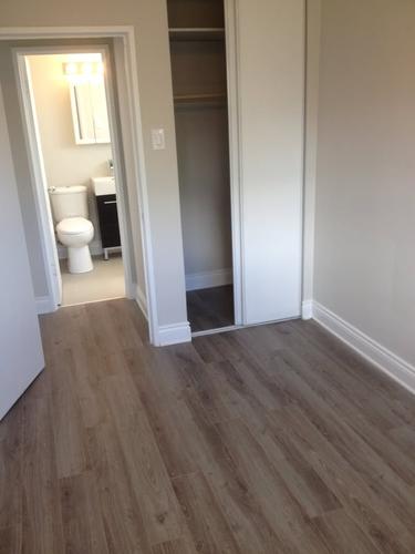 1 bedroom apartment for rent in - — photo 7
