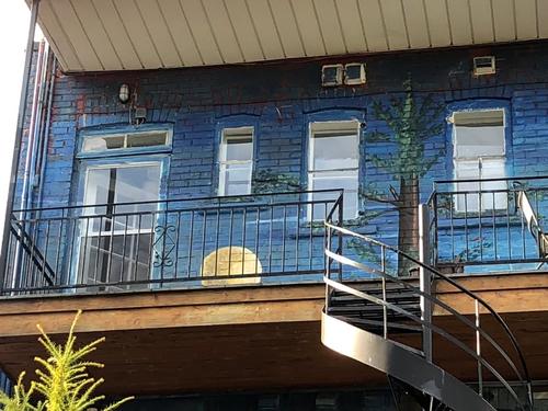 1 bedroom apartment for rent in Montreal - Ville-Marie — photo 10