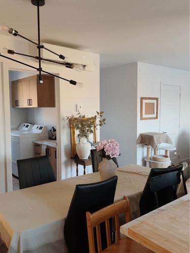 1 bedroom apartment for rent in Lévis — photo 6