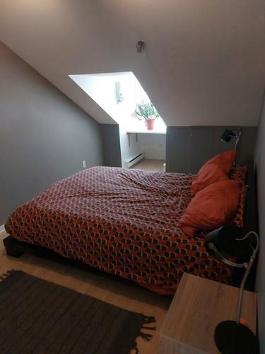 Appartement de 1 chambre à louer à Québec - La Cité-Limoilou — photo 7