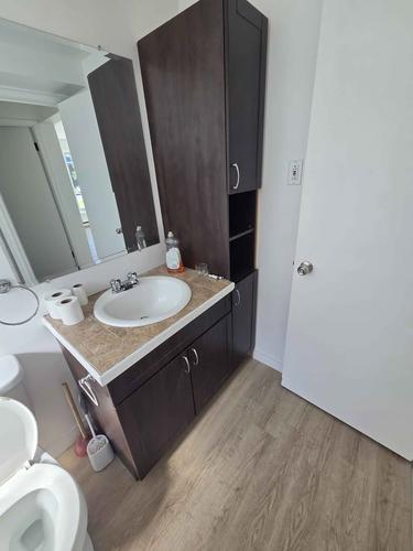 1 bedroom apartment for rent in Lévis — photo 7