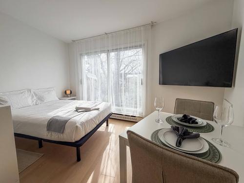 Studio for rent in Montreal - Ahuntsic-Cartierville — photo 3