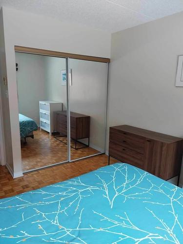 Studio for rent in Montreal - Le Plateau-Mont-Royal — photo 5