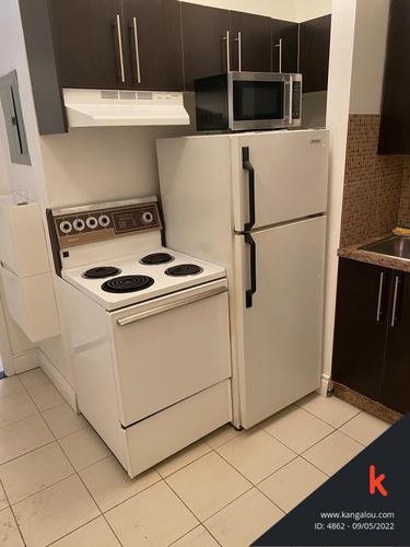 1 bedroom apartment for rent in Montreal - Le Plateau-Mont-Royal — photo 7