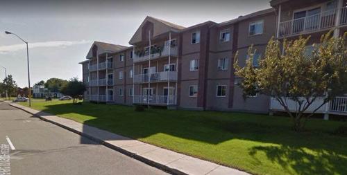 2 bedrooms apartment for rent in Lévis — photo 8