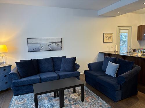 1 bedroom apartment for rent in Gatineau — photo 4