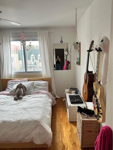 Appartement de 1 chambre à louer à Montreal - Rosemont–La Petite-Patrie — photo 4