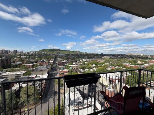 4 bedrooms apartment for rent in Montreal - Le Plateau-Mont-Royal — photo 3