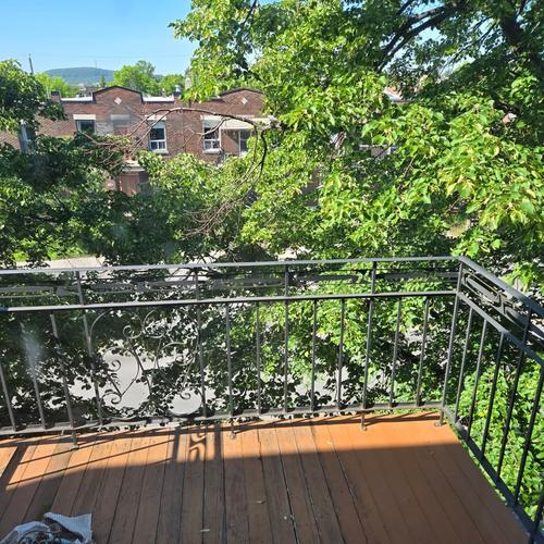 Appartement de 2 chambres à louer à Montreal - Rosemont–La Petite-Patrie — photo 4