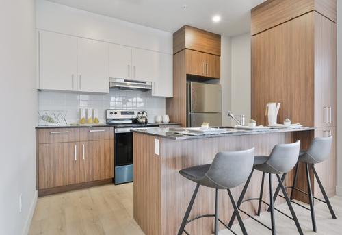 1 bedroom apartment for rent in Lévis — photo 3