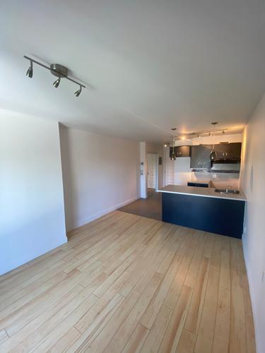 1 bedroom apartment for rent in Montreal - Rosemont–La Petite-Patrie — photo 5