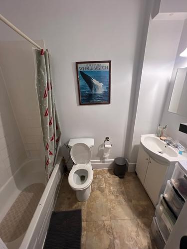 1 bedroom apartment for rent in Montreal - Ville-Marie — photo 6