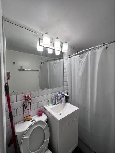 1 bedroom apartment for rent in Montreal - Le Plateau-Mont-Royal — photo 4