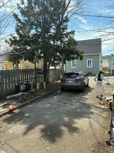 Appartement de 3 chambres à louer à Lévis — photo 4