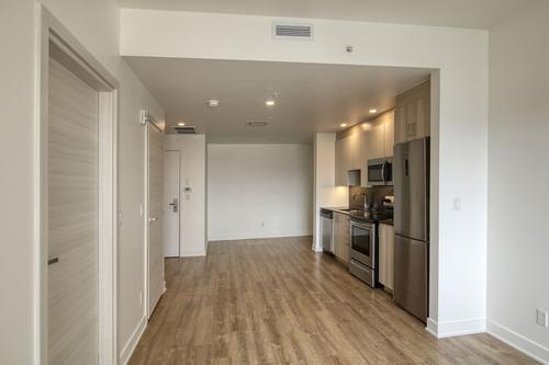 Appartement de 1 chambre à louer à Montreal - Le Plateau-Mont-Royal — photo 3