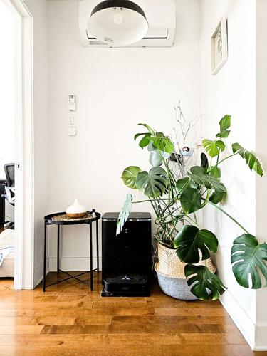 1 bedroom apartment for rent in Montreal - Rosemont–La Petite-Patrie — photo 4