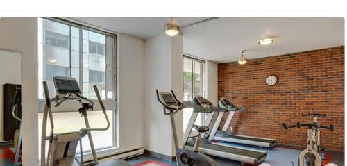 Studio for rent in Montreal - Le Plateau-Mont-Royal — photo 9