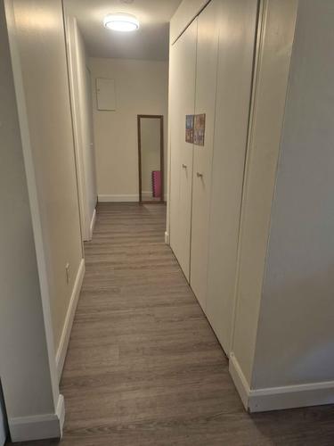 Appartement de 2 chambres à louer à Québec - La Cité-Limoilou — photo 3