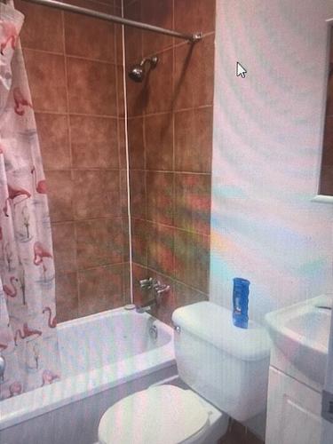 Appartement de 1 chambre à louer à Sherbrooke — photo 13