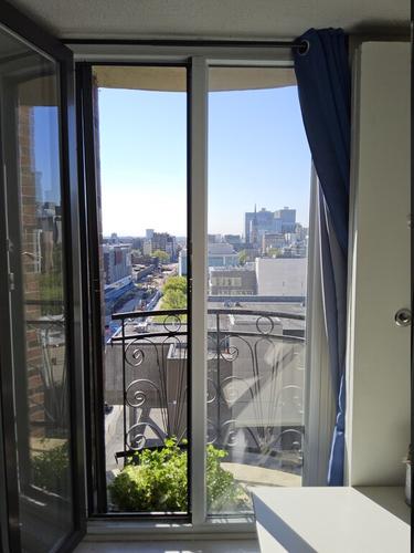 Studio à louer à Montreal - Ville-Marie — photo 4