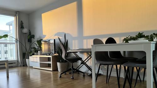 1 bedroom apartment for rent in Québec - La Cité-Limoilou — photo 12