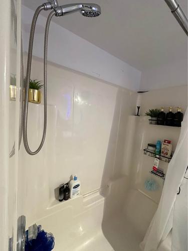 1 bedroom apartment for rent in Gatineau — photo 8