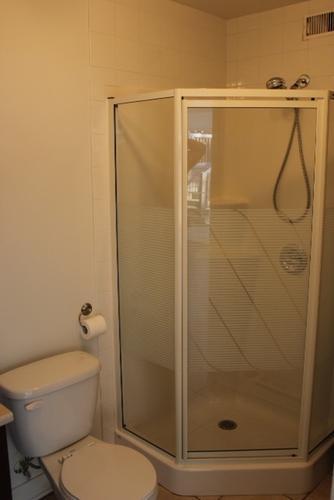 1 bedroom apartment for rent in Longueuil — photo 5