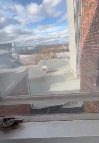 Appartement de 1 chambre à louer à Québec - La Cité-Limoilou — photo 7