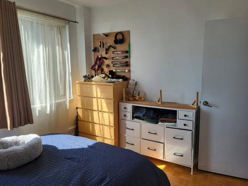 1 bedroom apartment for rent in Montreal - Le Plateau-Mont-Royal — photo 2