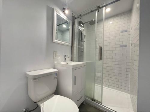 1 bedroom apartment for rent in Montreal - Rosemont–La Petite-Patrie — photo 3