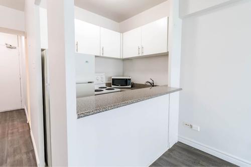 Appartement de 1 chambre à louer à Montreal - Le Plateau-Mont-Royal — photo 4