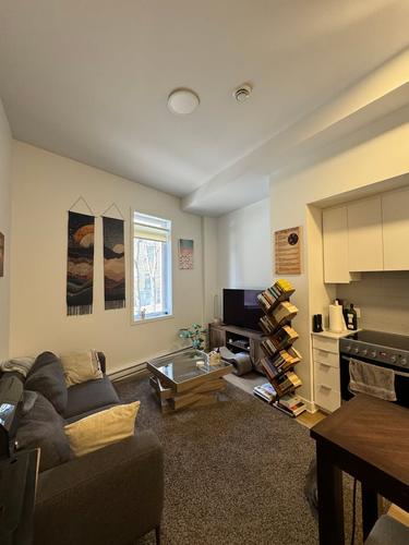 1 bedroom apartment for rent in Montreal - Le Sud-Ouest — photo 11
