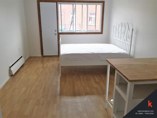 Studio for rent in Montreal - Le Plateau-Mont-Royal — photo 9