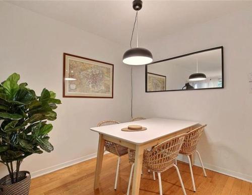 1 bedroom apartment for rent in Montreal - Le Plateau-Mont-Royal — photo 10