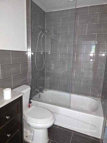 5 bedrooms apartment for rent in Montreal - Le Plateau-Mont-Royal — photo 4