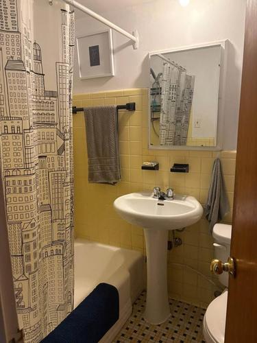 Appartement de 1 chambre à louer à Montreal - Le Plateau-Mont-Royal — photo 6