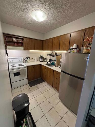1 bedroom apartment for rent in Montreal - Le Plateau-Mont-Royal — photo 2