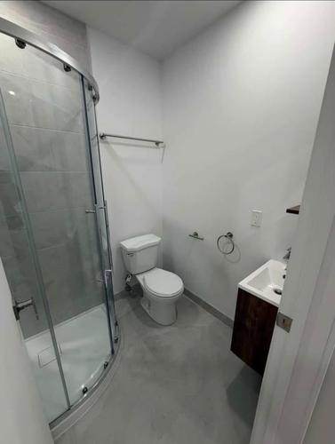 1 bedroom apartment for rent in Montreal - Ville-Marie — photo 3