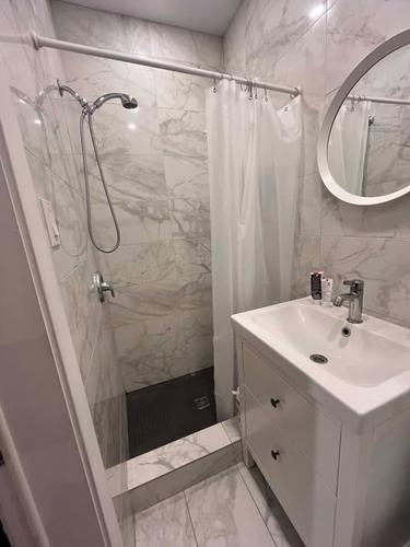 1 bedroom apartment for rent in Montreal - Le Plateau-Mont-Royal — photo 5