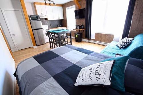 Appartement de 1 chambre à louer à Québec - La Cité-Limoilou — photo 9