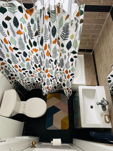 Appartement de 5 chambres à louer à Montreal - Rosemont–La Petite-Patrie — photo 11
