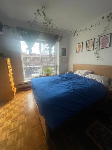 2 bedrooms apartment for rent in Montreal - Villeray–Saint-Michel–Parc-Extension — photo 9