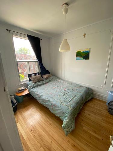 Appartement de 2 chambres à louer à Montreal - Le Plateau-Mont-Royal — photo 3